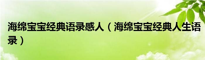 海绵宝宝经典语录感人（海绵宝宝经典人生语录）