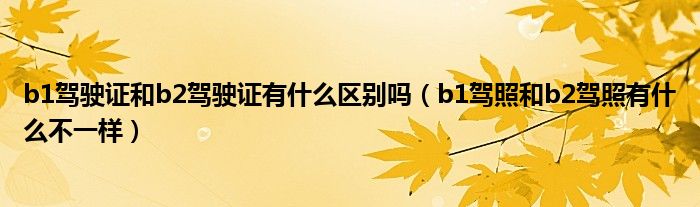 b1驾驶证和b2驾驶证有什么区别吗（b1驾照和b2驾照有什么不一样）