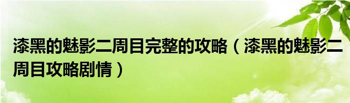 漆黑的魅影二周目完整的攻略（漆黑的魅影二周目攻略剧情）