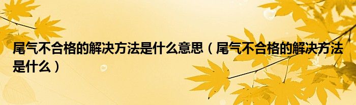 尾气不合格的解决方法是什么意思（尾气不合格的解决方法是什么）