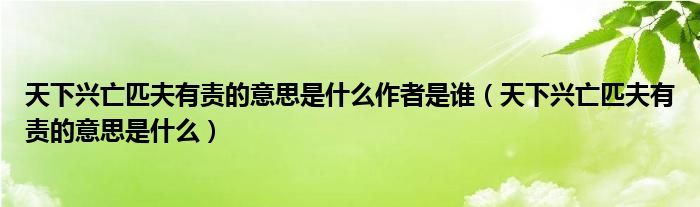 天下兴亡匹夫有责的意思是什么作者是谁（天下兴亡匹夫有责的意思是什么）