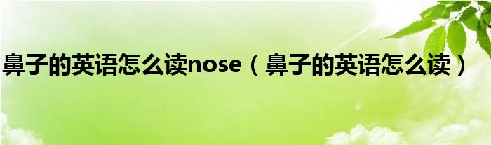 鼻子的英语怎么读nose（鼻子的英语怎么读）