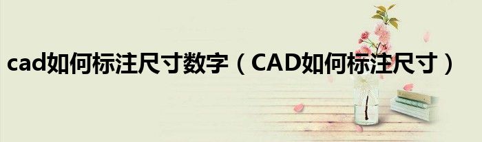 cad如何标注尺寸数字（CAD如何标注尺寸）