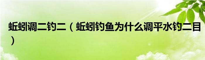 蚯蚓调二钓二（蚯蚓钓鱼为什么调平水钓二目）