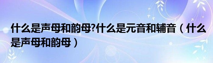 什么是声母和韵母?什么是元音和辅音（什么是声母和韵母）