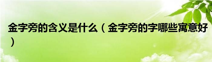 金字旁的含义是什么（金字旁的字哪些寓意好）