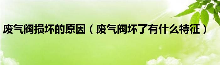 废气阀损坏的原因（废气阀坏了有什么特征）