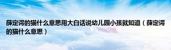 薛定谔的猫什么意思用大白话说幼儿园小孩就知道（薛定谔的猫什么意思）