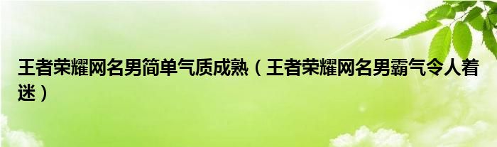 王者荣耀网名男简单气质成熟（王者荣耀网名男霸气令人着迷）