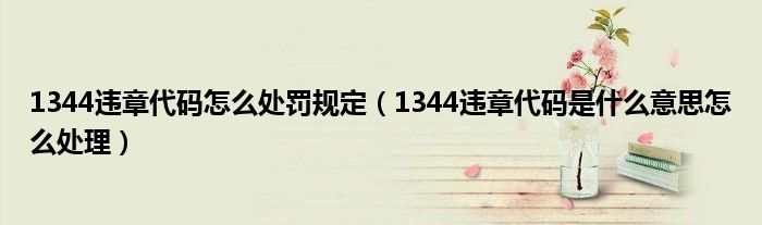 1344违章代码怎么处罚规定（1344违章代码是什么意思怎么处理）