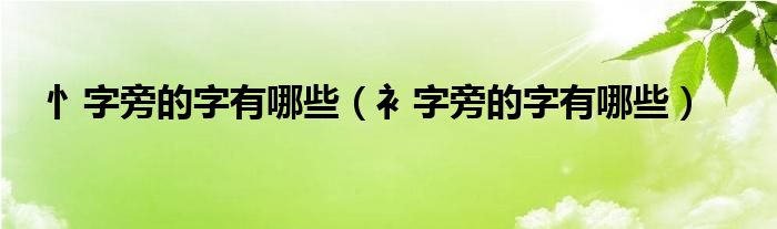 忄字旁的字有哪些（衤字旁的字有哪些）