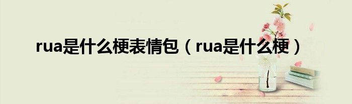 rua是什么梗表情包（rua是什么梗）