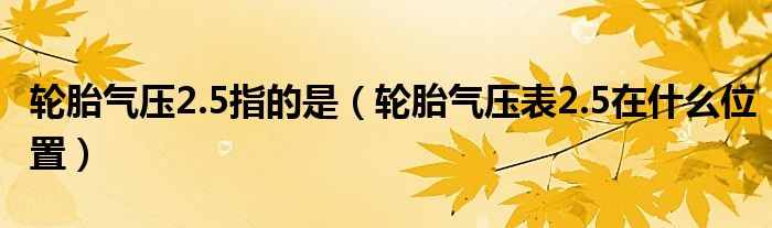 轮胎气压2.5指的是（轮胎气压表2.5在什么位置）