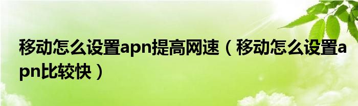 移动怎么设置apn提高网速（移动怎么设置apn比较快）