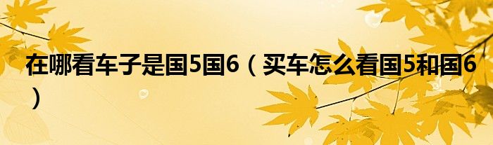 在哪看车子是国5国6（买车怎么看国5和国6）