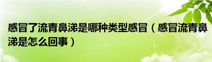 感冒了流青鼻涕是哪种类型感冒（感冒流青鼻涕是怎么回事）