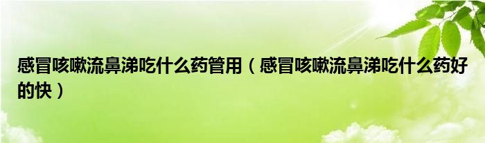 感冒咳嗽流鼻涕吃什么药管用（感冒咳嗽流鼻涕吃什么药好的快）