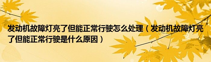 发动机故障灯亮了但能正常行驶怎么处理（发动机故障灯亮了但能正常行驶是什么原因）