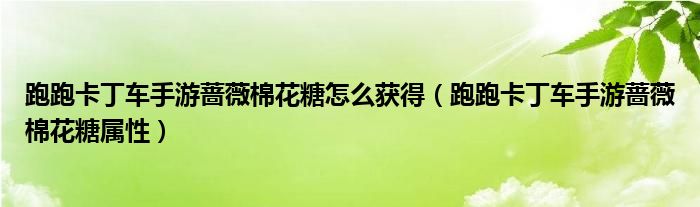 跑跑卡丁车手游蔷薇棉花糖怎么获得（跑跑卡丁车手游蔷薇棉花糖属性）