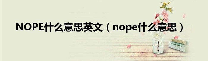 NOPE什么意思英文（nope什么意思）