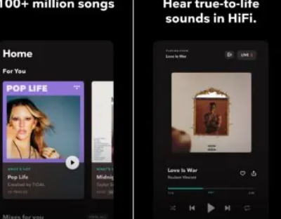 Tidal的无损套餐现在与Spotify订阅费用相同