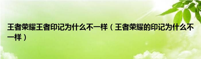 王者荣耀王者印记为什么不一样（王者荣耀的印记为什么不一样）