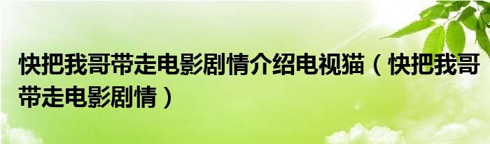 快把我哥带走电影剧情介绍电视猫（快把我哥带走电影剧情）