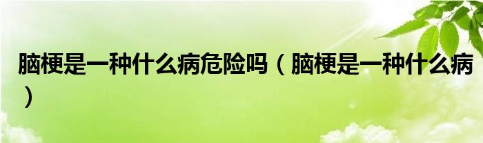 脑梗是一种什么病危险吗（脑梗是一种什么病）