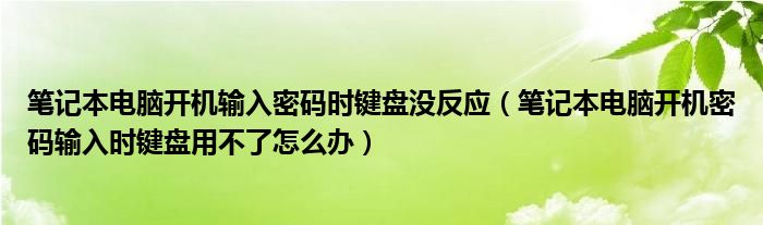 笔记本电脑开机输入密码时键盘没反应（笔记本电脑开机密码输入时键盘用不了怎么办）