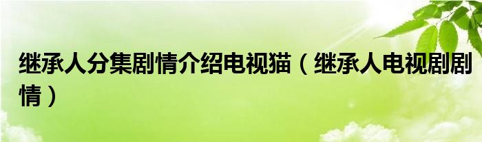 继承人分集剧情介绍电视猫（继承人电视剧剧情）