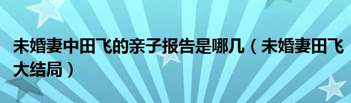 未婚妻中田飞的亲子报告是哪几（未婚妻田飞大结局）