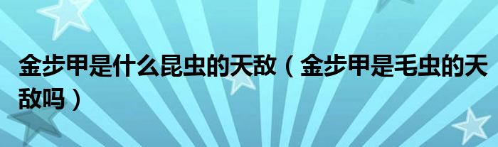 金步甲是什么昆虫的天敌（金步甲是毛虫的天敌吗）