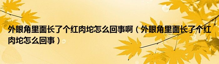 外眼角里面长了个红肉坨怎么回事啊（外眼角里面长了个红肉坨怎么回事）