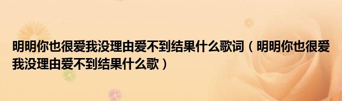 明明你也很爱我没理由爱不到结果什么歌词（明明你也很爱我没理由爱不到结果什么歌）