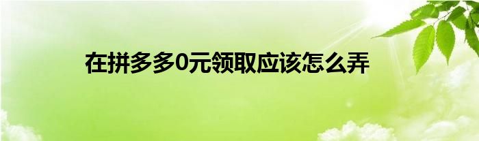 在拼多多0元领取应该怎么弄