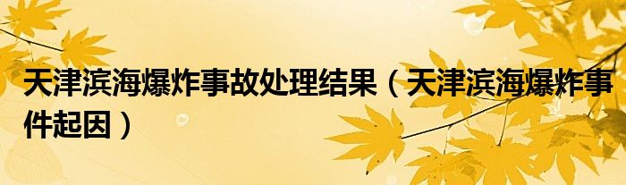 天津滨海爆炸事故处理结果（天津滨海爆炸事件起因）