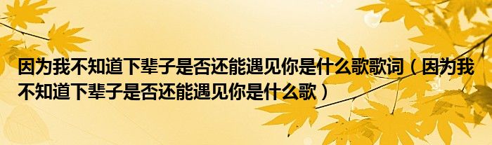 因为我不知道下辈子是否还能遇见你是什么歌歌词（因为我不知道下辈子是否还能遇见你是什么歌）