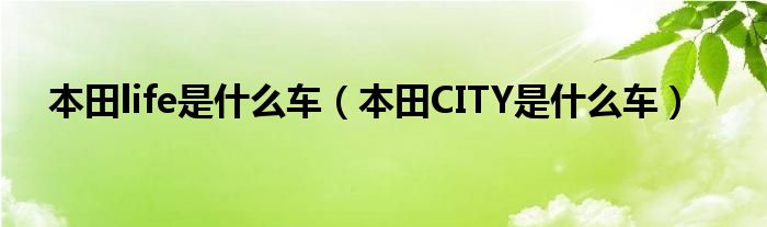 本田life是什么车（本田CITY是什么车）