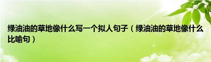 绿油油的草地像什么写一个拟人句子（绿油油的草地像什么比喻句）