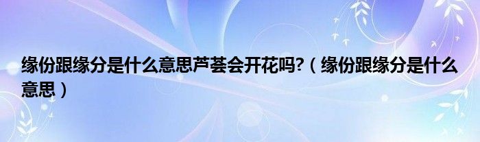 缘份跟缘分是什么意思芦荟会开花吗?（缘份跟缘分是什么意思）