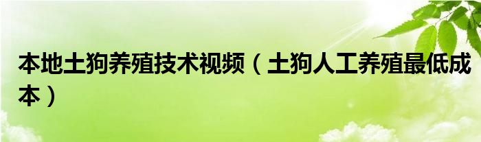 本地土狗养殖技术视频（土狗人工养殖最低成本）