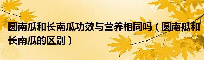 圆南瓜和长南瓜功效与营养相同吗（圆南瓜和长南瓜的区别）