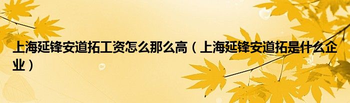 上海延锋安道拓工资怎么那么高（上海延锋安道拓是什么企业）