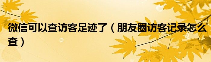 微信可以查访客足迹了（朋友圈访客记录怎么查）