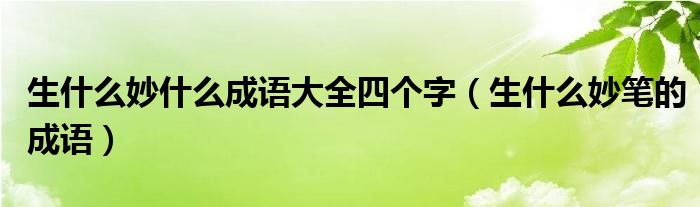 生什么妙什么成语大全四个字（生什么妙笔的成语）