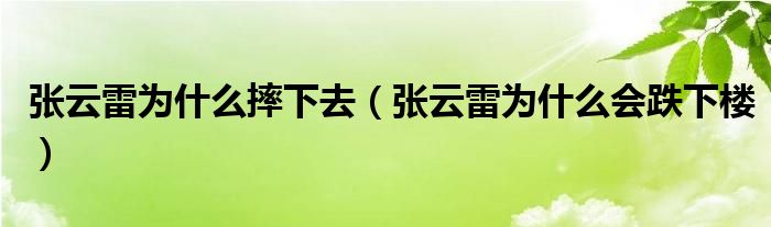 张云雷为什么摔下去（张云雷为什么会跌下楼）