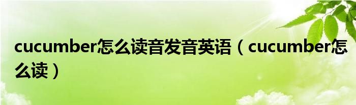 cucumber怎么读音发音英语（cucumber怎么读）