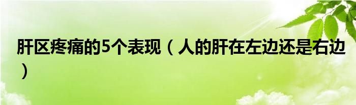 肝区疼痛的5个表现（人的肝在左边还是右边）