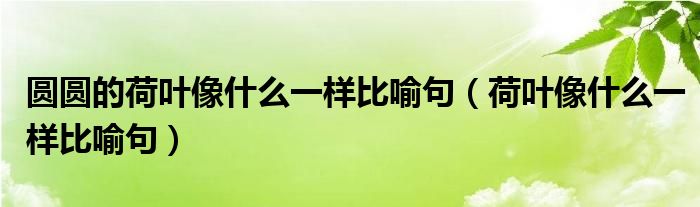 圆圆的荷叶像什么一样比喻句（荷叶像什么一样比喻句）