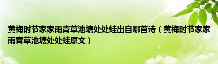 黄梅时节家家雨青草池塘处处蛙出自哪首诗（黄梅时节家家雨青草池塘处处蛙原文）